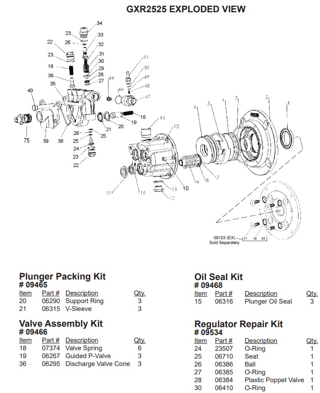 Coleman Powermate power washer PW0912700 pump GXR2525 breakdown